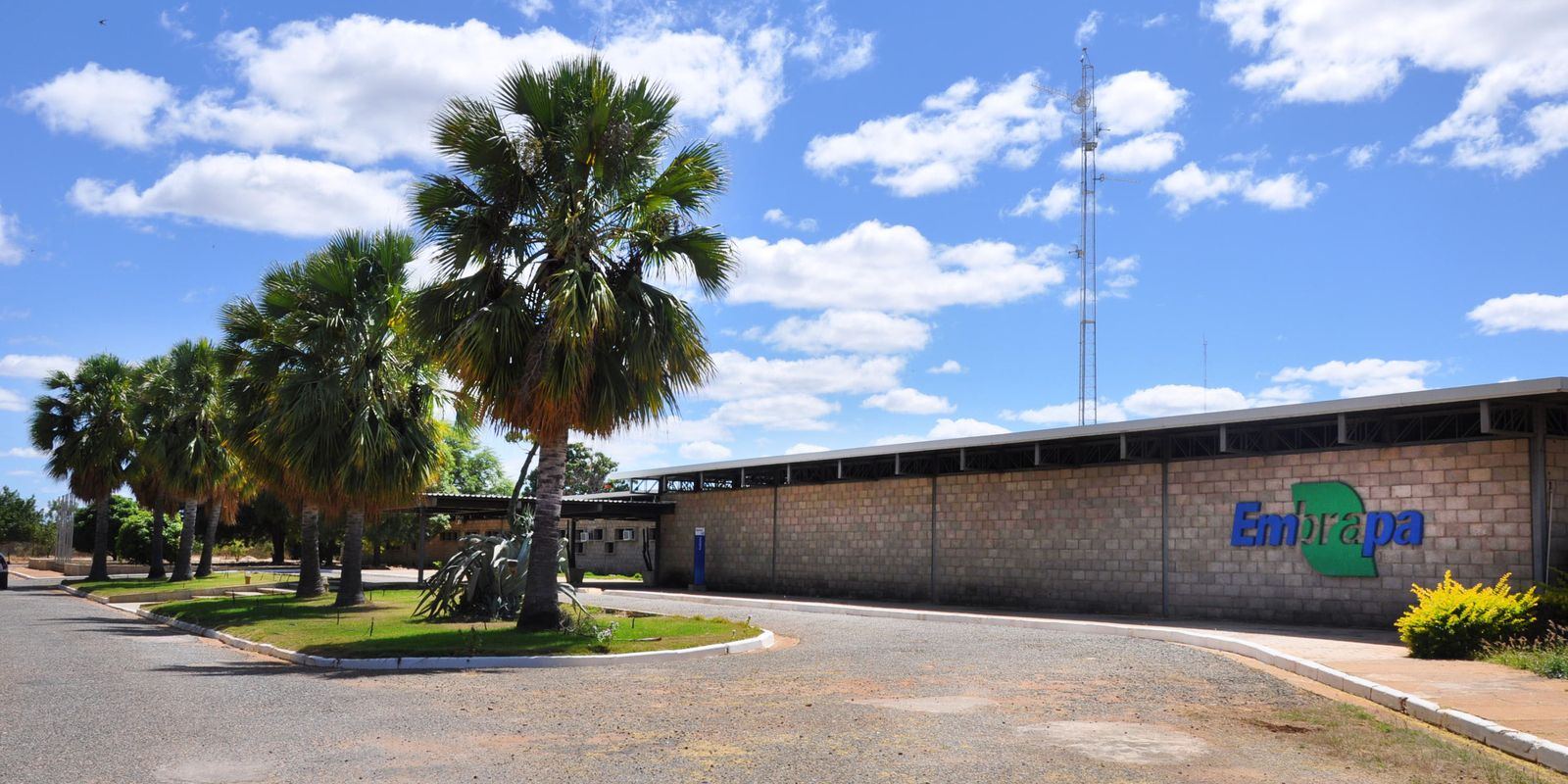 Petrolina (PE) - Sede da Embrapa Semiárido, localizada em Petrolina, PE. Foto: Fernanda Muniz Bez/EMBRAPA