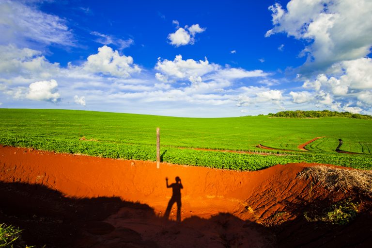Projeto proíbe compras públicas de produtos agropecuários de áreas invadidas