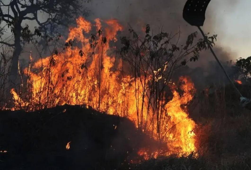 incendios-manaus