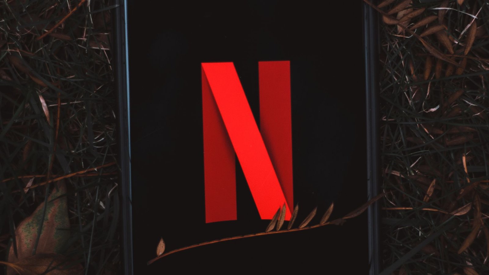 Netflix começa teste para barrar o compartilhamento de senha