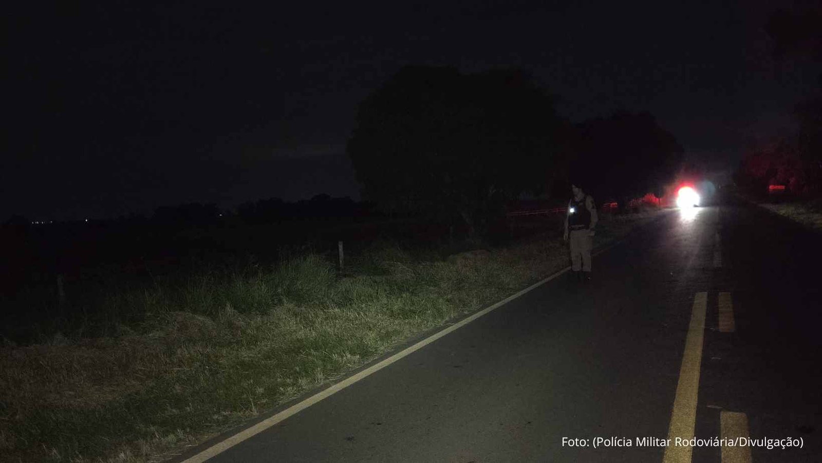 Acidente com animais soltos em rodovia deixa vítima fatal em Matutina, MG