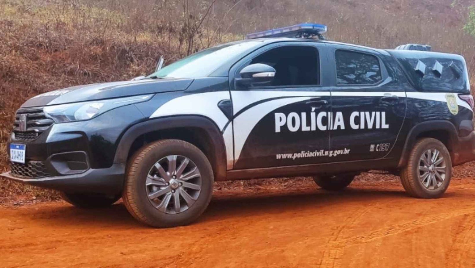 Investigação sobre furto de gado é concluída com quatro indiciados em Campina Verde
