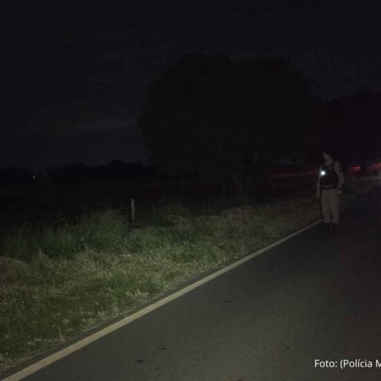 Acidente com animais soltos em rodovia deixa vítima fatal em Matutina, MG