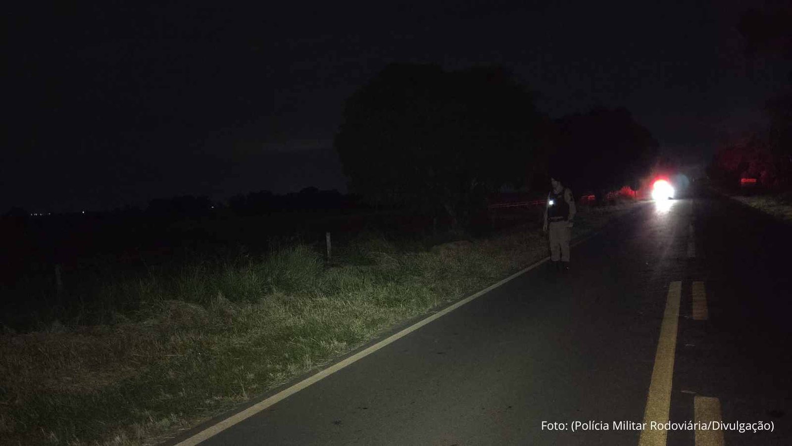 Acidente com animais soltos em rodovia deixa vítima fatal em Matutina, MG