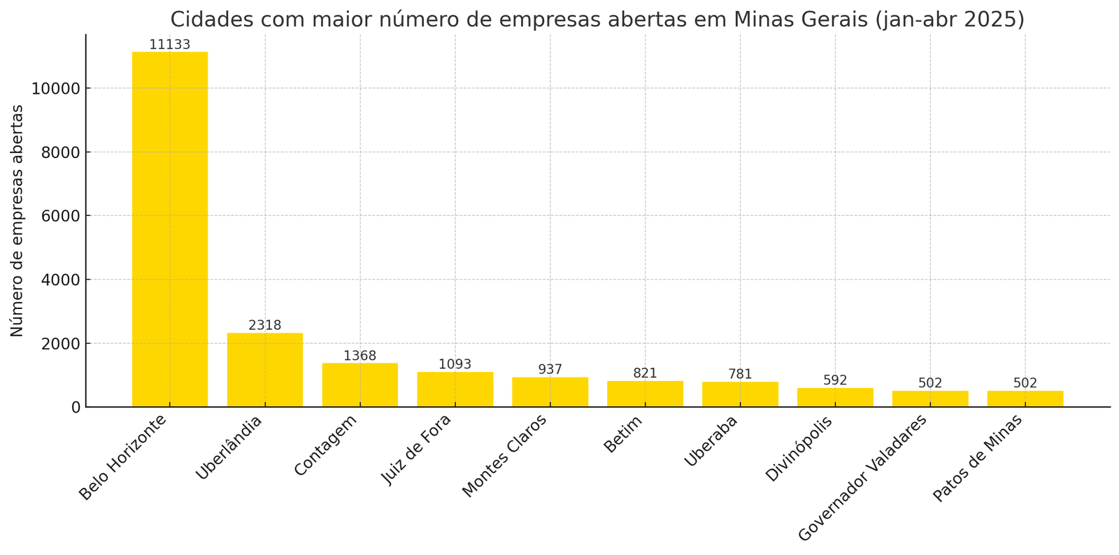 Cidades Com Maior Número De Empresas Abertas Em Minas Gerais