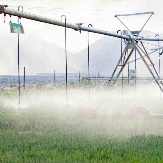 São Gotardo e o Agronegócio Irrigado: o papel estratégico da água na expansão agrícola do Cerrado Mineiro