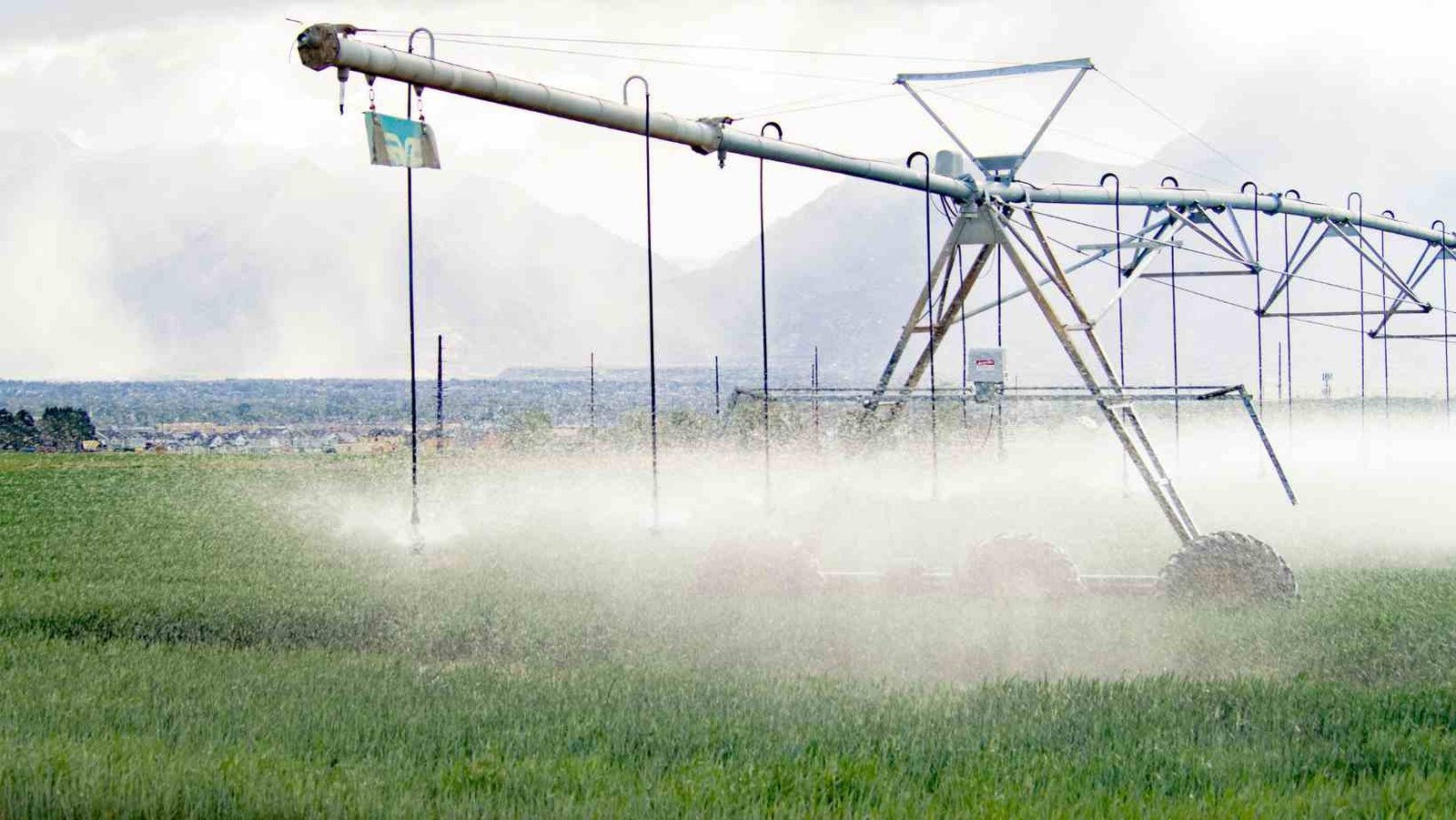 São Gotardo e o Agronegócio Irrigado: o papel estratégico da água na expansão agrícola do Cerrado Mineiro