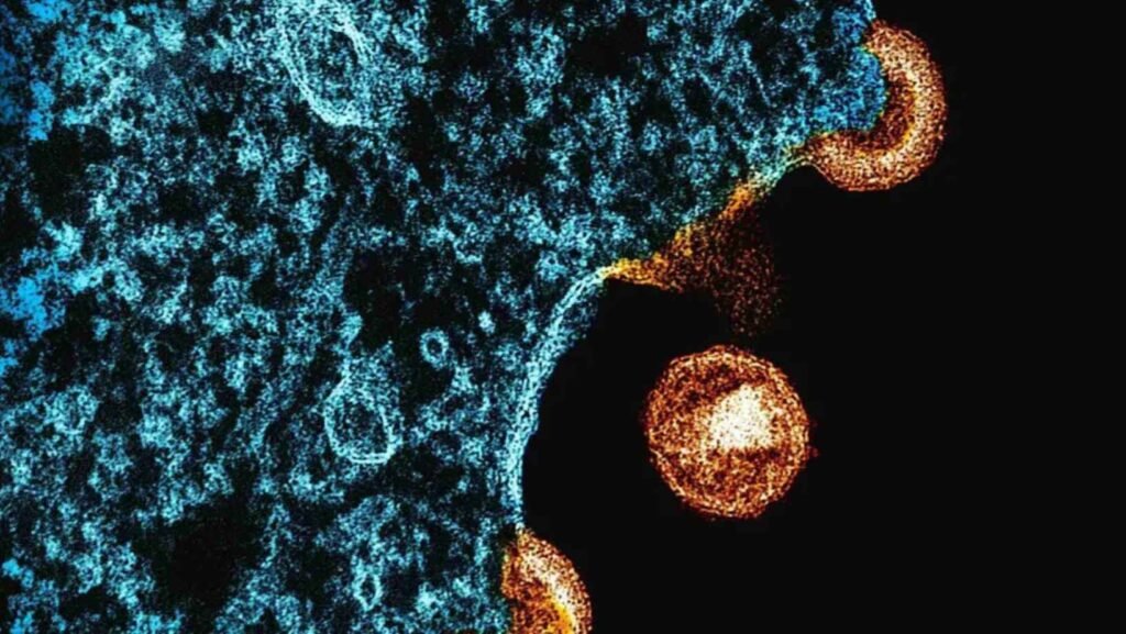 Caminho para a cura: Nanopartículas de mRNA podem revolucionar o combate ao HIV