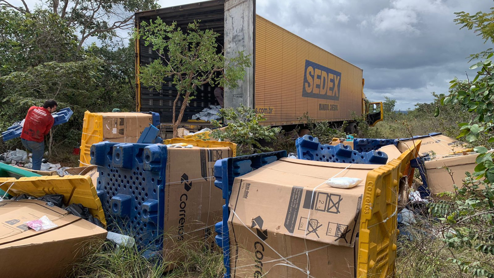 Polícia Federal desarticula quadrilha que roubava cargas dos Correios e Mercado Livre na BR-251