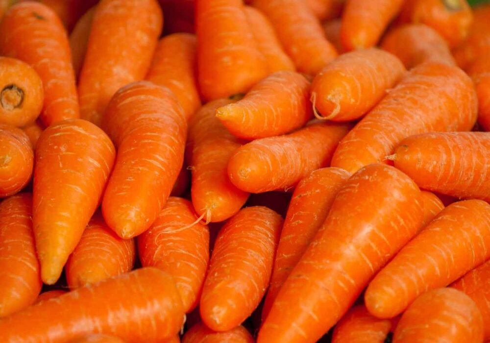 Queda no preço da cenoura preocupa produtores em Minas Gerais