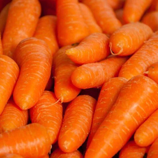 Queda no preço da cenoura preocupa produtores em Minas Gerais