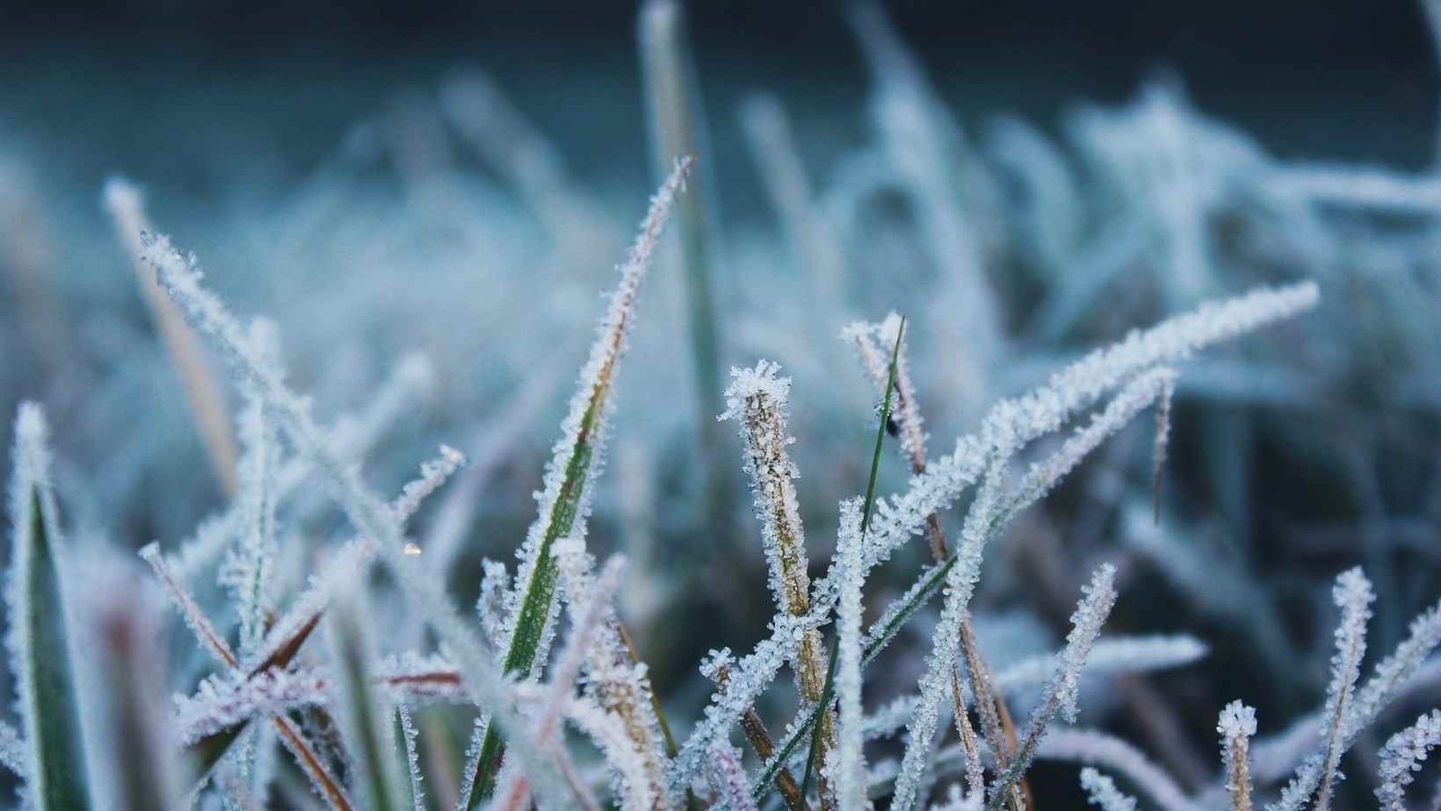 Frio Intenso: Frente fria deve provocar queda brusca nas temperaturas em Minas e em várias regiões do país