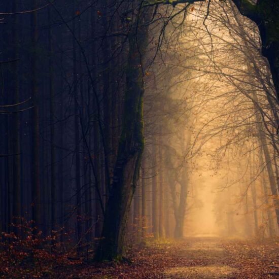 Ciência explica o que acontece no cérebro durante experiências de quase morte